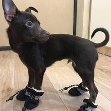 Charger l&#39;image dans la galerie, Ciaovie™ Bottes Antidérapants pour Chiens - ciaovie