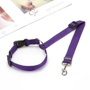 🐾Laisse Réglable pour Chien Fixable sur le Siège Auto