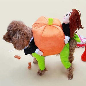 🎃Costume d'Halloween de citrouille pour chien de compagnie🎃