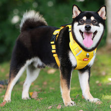 Charger l&#39;image dans la galerie, Sangle de poitrine réfléchissante pour chien