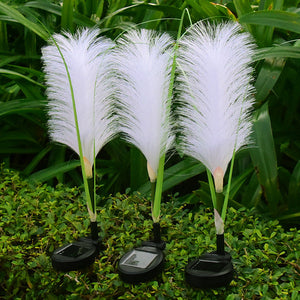 Reed Fibre Optique Lumière