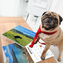 Charger l&#39;image dans la galerie, Calendrier 2024 : Les chiens font leurs besoins dans de beaux endroits
