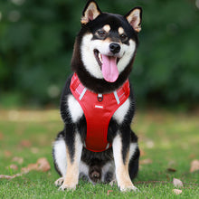 Charger l&#39;image dans la galerie, Sangle de poitrine réfléchissante pour chien