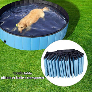 Piscine Portable Pliable pour Animaux de Compagnie - ciaovie