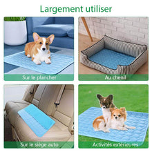 Charger l&#39;image dans la galerie, Tapis de Refroidissement Pour Animaux de Compagnie
