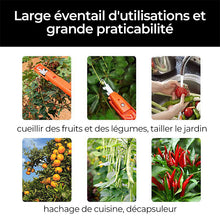 Charger l&#39;image dans la galerie, Outils efficaces de collecte de poivre