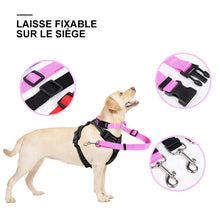 Charger l&#39;image dans la galerie, 🐾Laisse Réglable pour Chien Fixable sur le Siège Auto