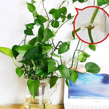 Charger l&#39;image dans la galerie, Clip Mural pour Plantes Grimpantes (30 pièces)