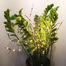 Charger l&#39;image dans la galerie, Lumière décorative à DEL pour brindilles - ciaovie