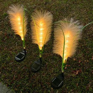 Reed Fibre Optique Lumière