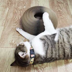 Tableau à gratter pour chat Magic Organ