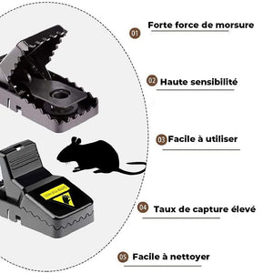 Piège à souris ménager délicat (6 pièces)