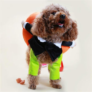 🎃Costume d'Halloween de citrouille pour chien de compagnie🎃