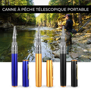 Canne à pêche de poche