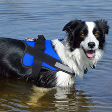 Charger l&#39;image dans la galerie, Chien Gilet Harnais