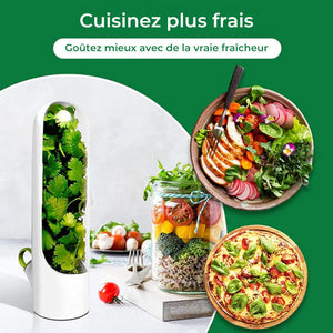 Economiseur d'herbes fraîches