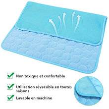 Charger l&#39;image dans la galerie, Tapis de Refroidissement Pour Animaux de Compagnie