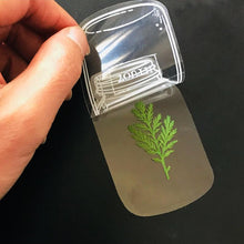 Charger l&#39;image dans la galerie, 🌸Signets de fleurs séchées transparentes