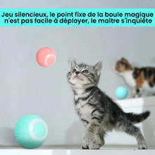 Charger l&#39;image dans la galerie, Cache-cache chat taquin