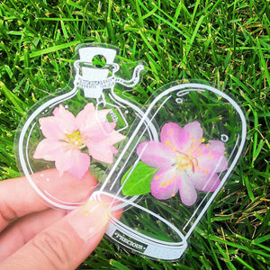 🌸Signets de fleurs séchées transparentes
