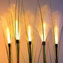 Charger l&#39;image dans la galerie, Reed Fibre Optique Lumière