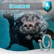 Charger l&#39;image dans la galerie, Colliers Réglables Anti-puces pour Animaux de Compagnie - ciaovie
