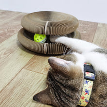 Charger l&#39;image dans la galerie, Tableau à gratter pour chat Magic Organ