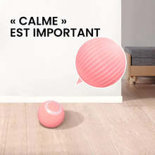 Charger l&#39;image dans la galerie, Cache-cache chat taquin