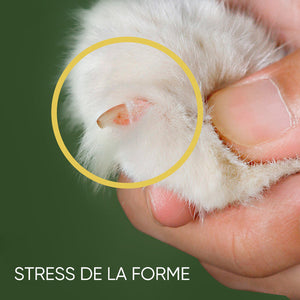 🐾Coupe-ongles efficace pour animaux de compagnie