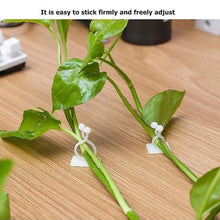 Charger l&#39;image dans la galerie, Clip Mural pour Plantes Grimpantes (30 pièces)