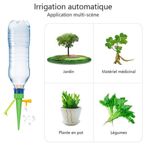 Système D'Arrossage Pour Plantes En Pot - ciaovie
