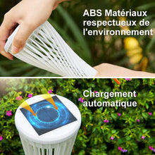 Charger l&#39;image dans la galerie, Lampes Solaires pour Allées de Jardin (2pcs)