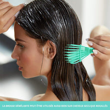 Charger l&#39;image dans la galerie, Ciaovie ™ Peigne à Cheveux en Nylon Antistatique - ciaovie