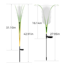 Charger l&#39;image dans la galerie, Reed Fibre Optique Lumière