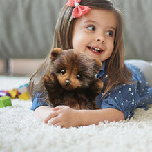 Charger l&#39;image dans la galerie, oursons en peluche