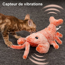 Charger l&#39;image dans la galerie, Jouet interactif pour chat et chien