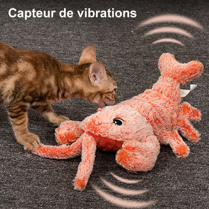 Jouet interactif pour chat et chien