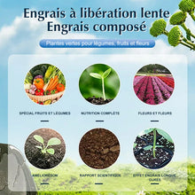 Charger l&#39;image dans la galerie, Engrais de jardin universel à libération lente sous forme de comprimés