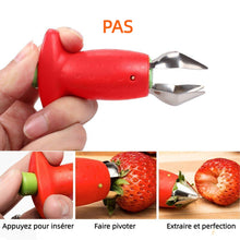 Charger l&#39;image dans la galerie, Trous de Fraise Hirundo