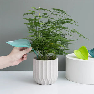 🌸🥬Feuilles d'arrosage drôles (6pcs)🥬🌸