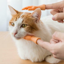 Charger l&#39;image dans la galerie, Gants de massage drôles de chat