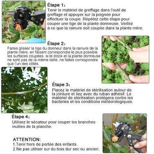 Trousse à Outils Pour Greffe de Jardin