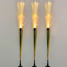 Charger l&#39;image dans la galerie, Reed Fibre Optique Lumière