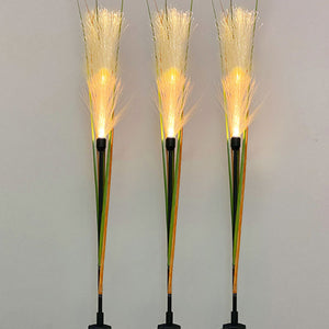 Reed Fibre Optique Lumière