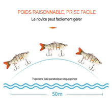 Charger l&#39;image dans la galerie, Bionique Multi-Articulé Appâts de Pêche