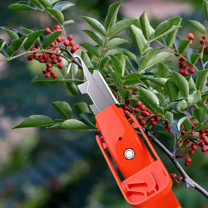 Outils efficaces de collecte de poivre