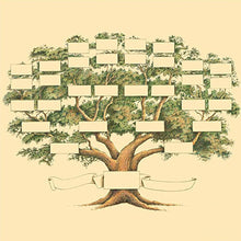 Charger l&#39;image dans la galerie, Diagramme De Généalogie De L&#39;arbre Généalogique