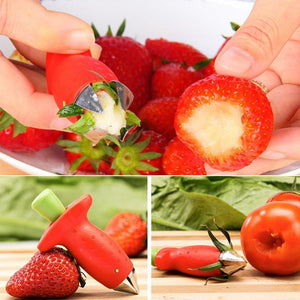 Trous de Fraise Hirundo