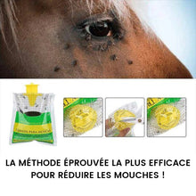 Charger l&#39;image dans la galerie, Attrape-piège jetable non toxique