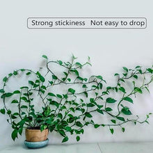 Charger l&#39;image dans la galerie, Clip Mural pour Plantes Grimpantes (30 pièces)